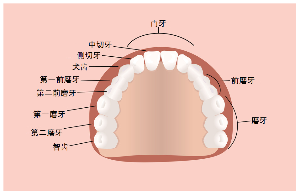 基本的